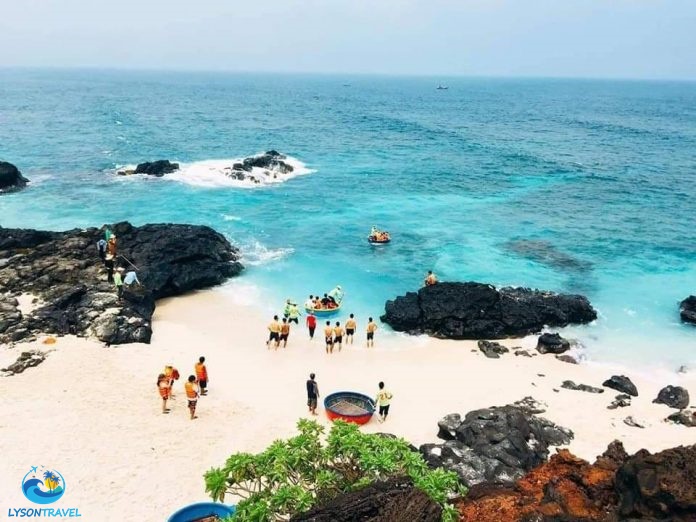 Tour Lý Sơn, tour Măng Đen, tour Tây Nguyên & Miền Trung, tour trong nước Chất lượng & Uy tín hàng đầu