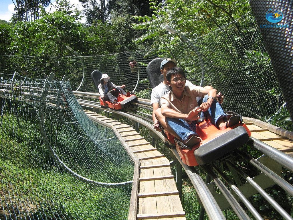 Tour Lý Sơn, tour Măng Đen, tour Tây Nguyên & Miền Trung, tour trong nước Chất lượng & Uy tín hàng đầu