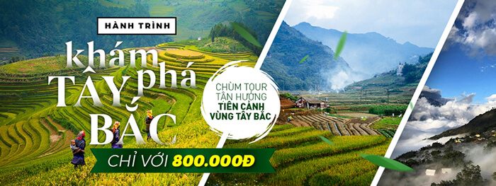 Tour Lý Sơn, tour Măng Đen, tour Tây Nguyên & Miền Trung, tour trong nước Chất lượng & Uy tín hàng đầu